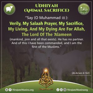 Animal sacrifice