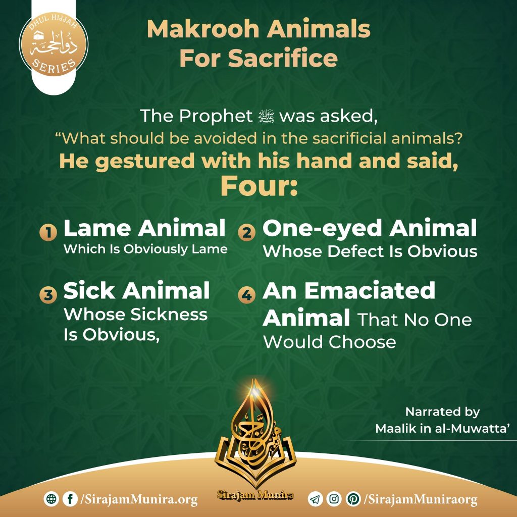 Animals that it is Makrooh to Sacrifice